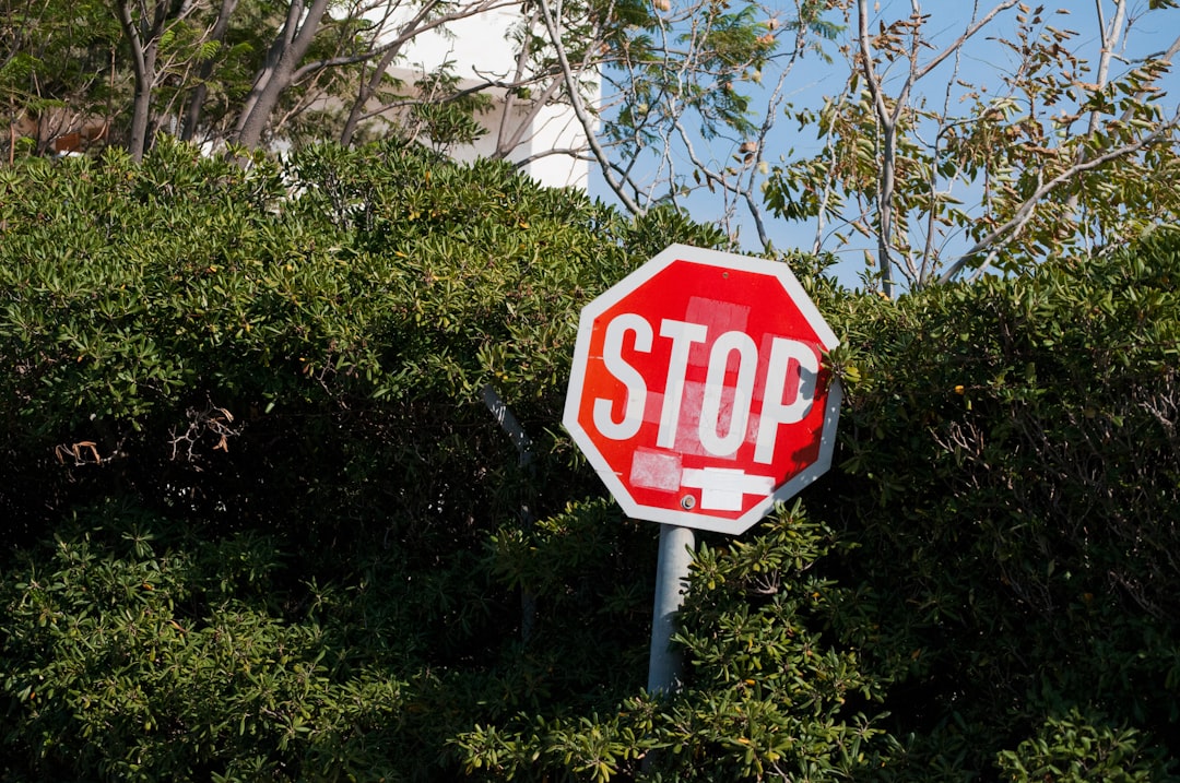 red and white Stop sign board