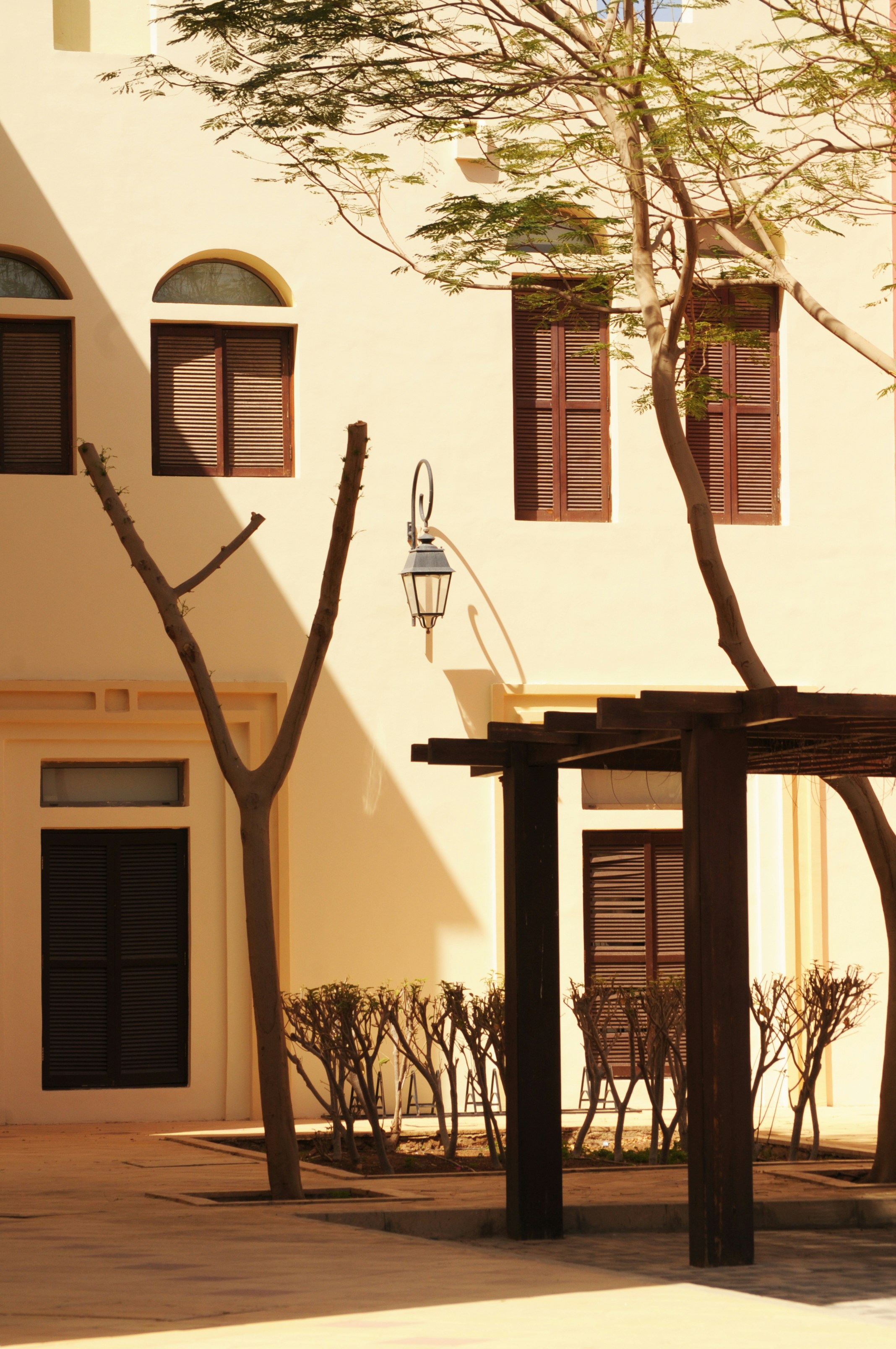 Photo by yuli_superson