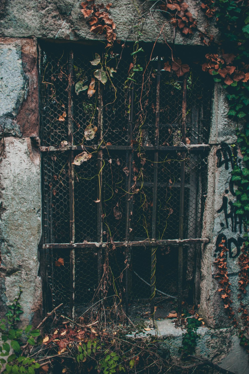 black metal window frame close-up photo