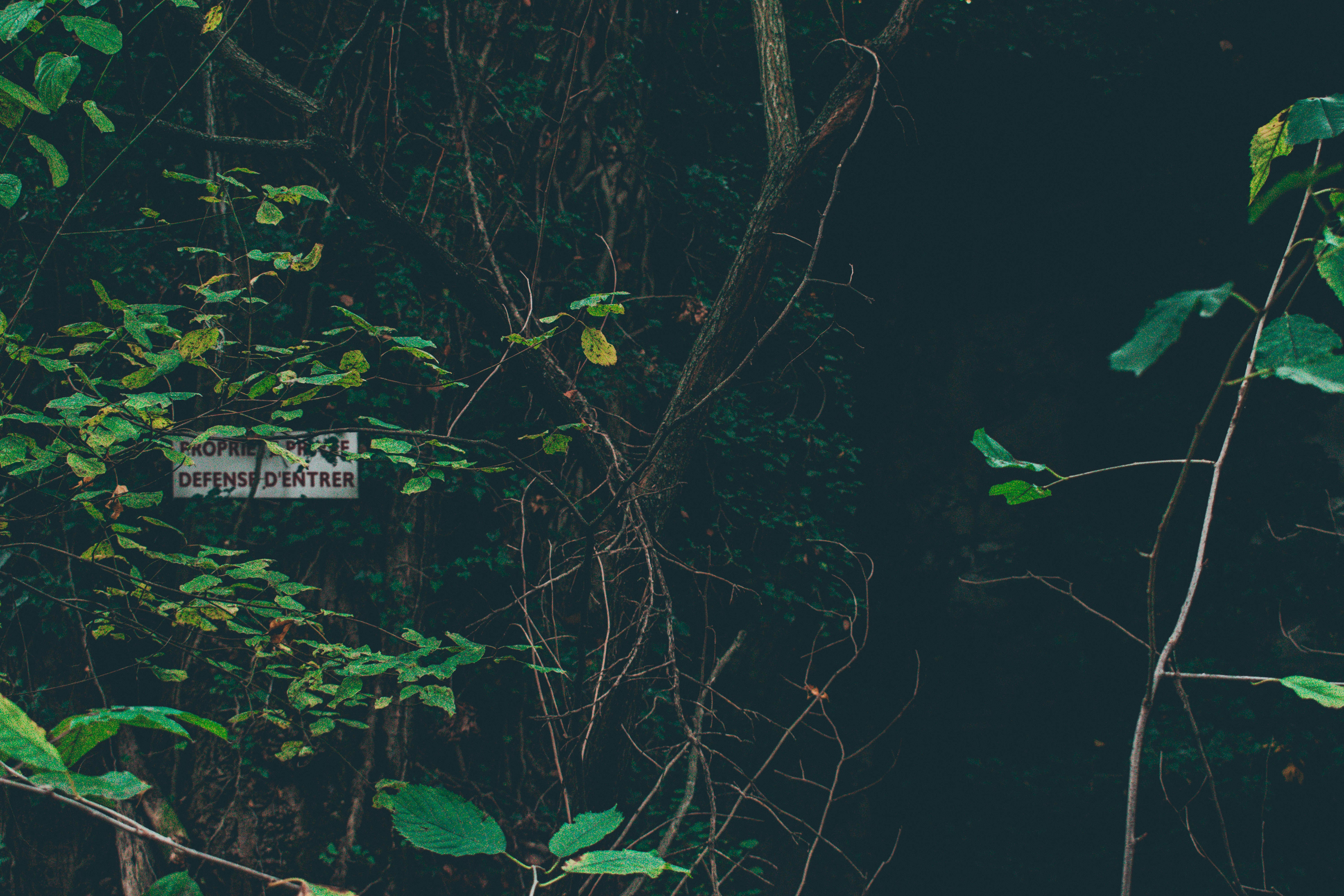 The Evolution of Coupon Aggregators in 2026: Advanced Strategies for Merchants