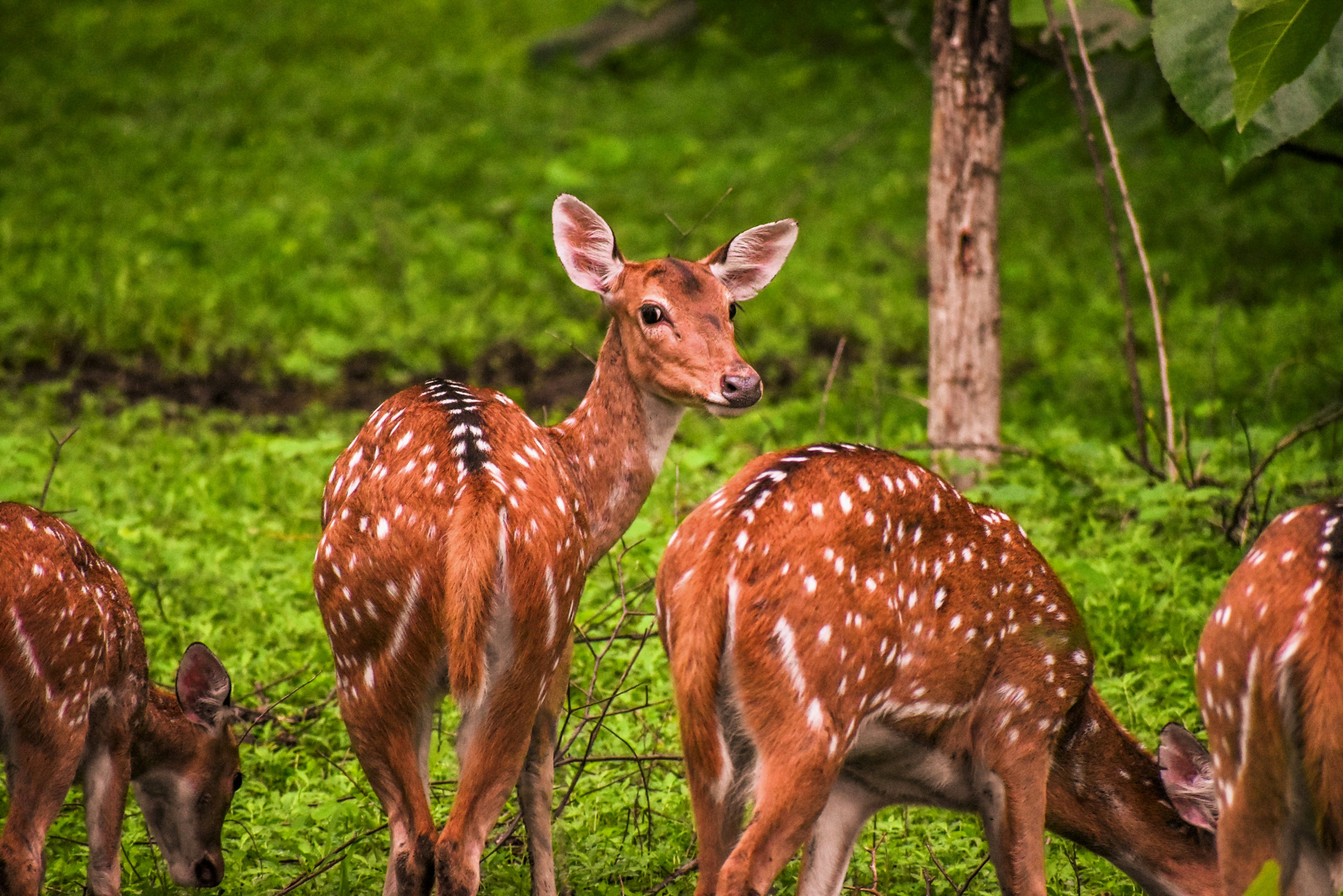 Photo by vandanpatel_