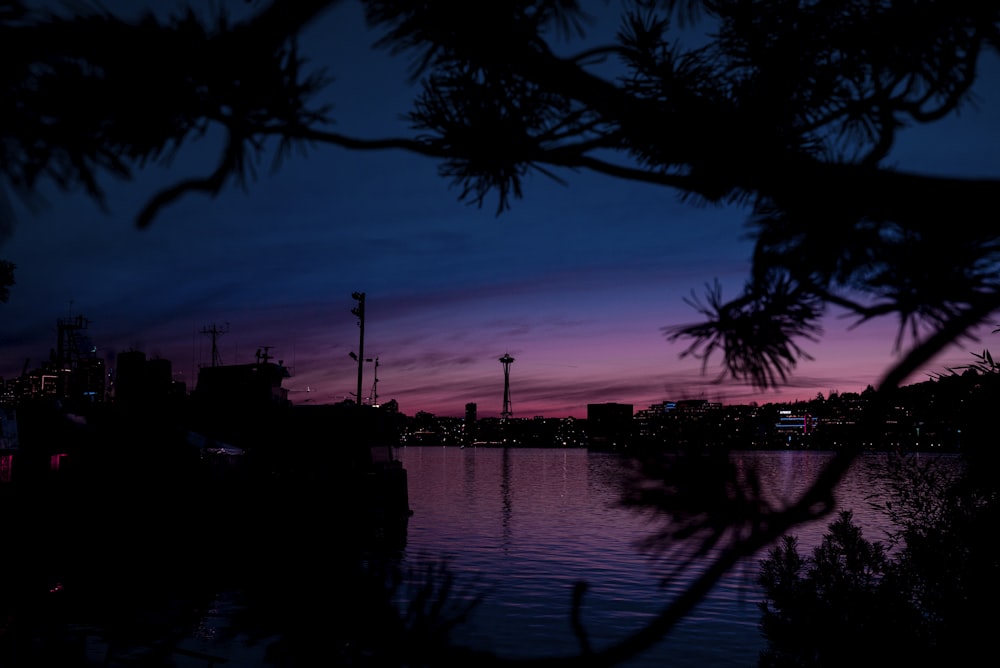 body of water at night