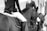 Two equestrians are riding horses, wearing traditional riding attire. The focus is on the riders’ legs and the horses' backs, highlighting the elegance of the sport. The image is in grayscale, adding a timeless and classic touch.
