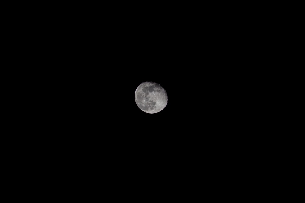 moon at nighttime