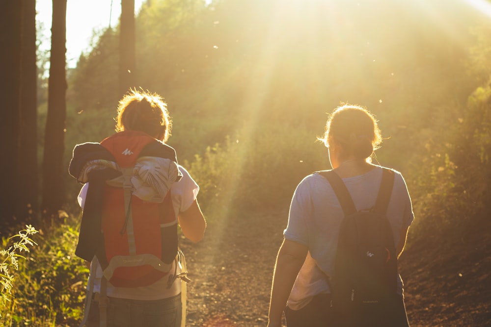 man and woman walking near bush and trees