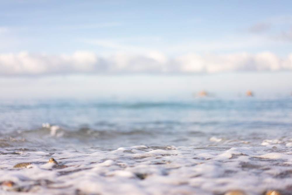 selective focus photograph of water foam