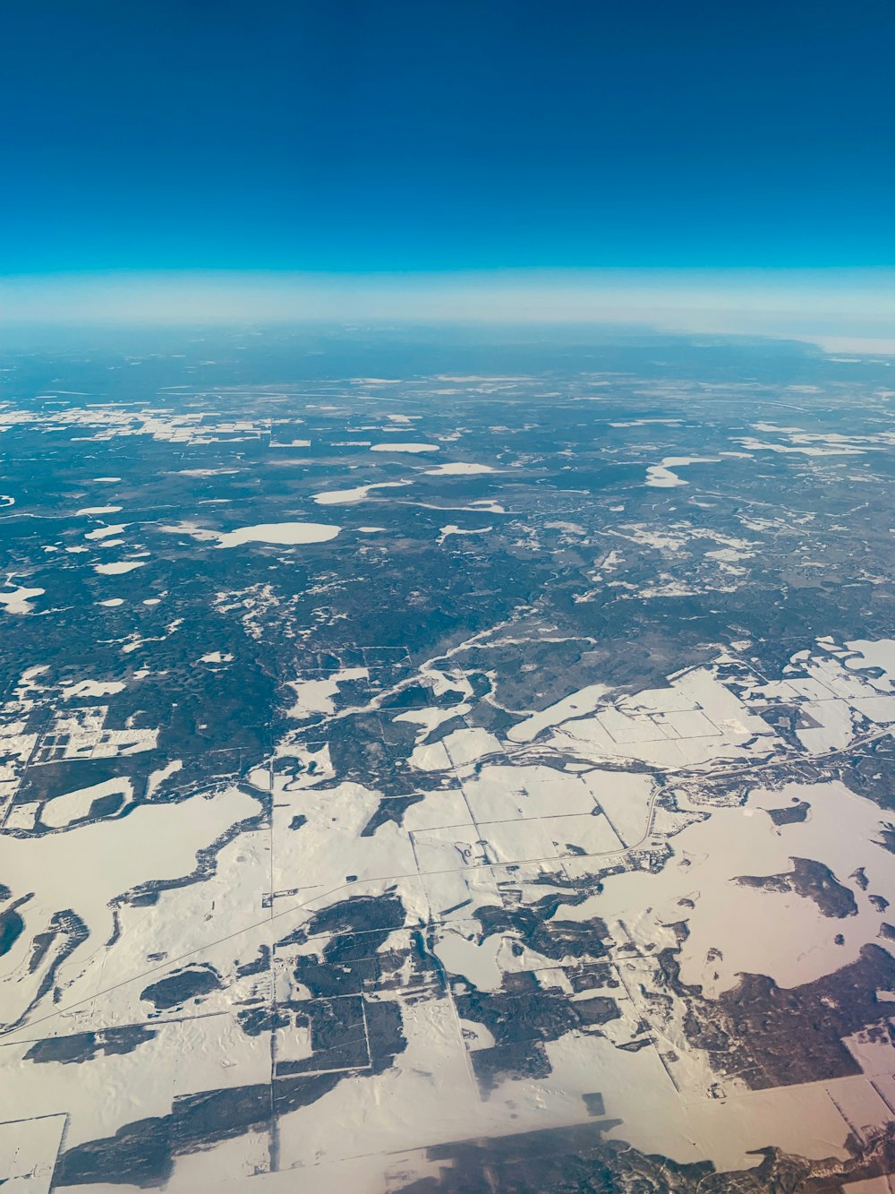 Vue aérienne des arbres