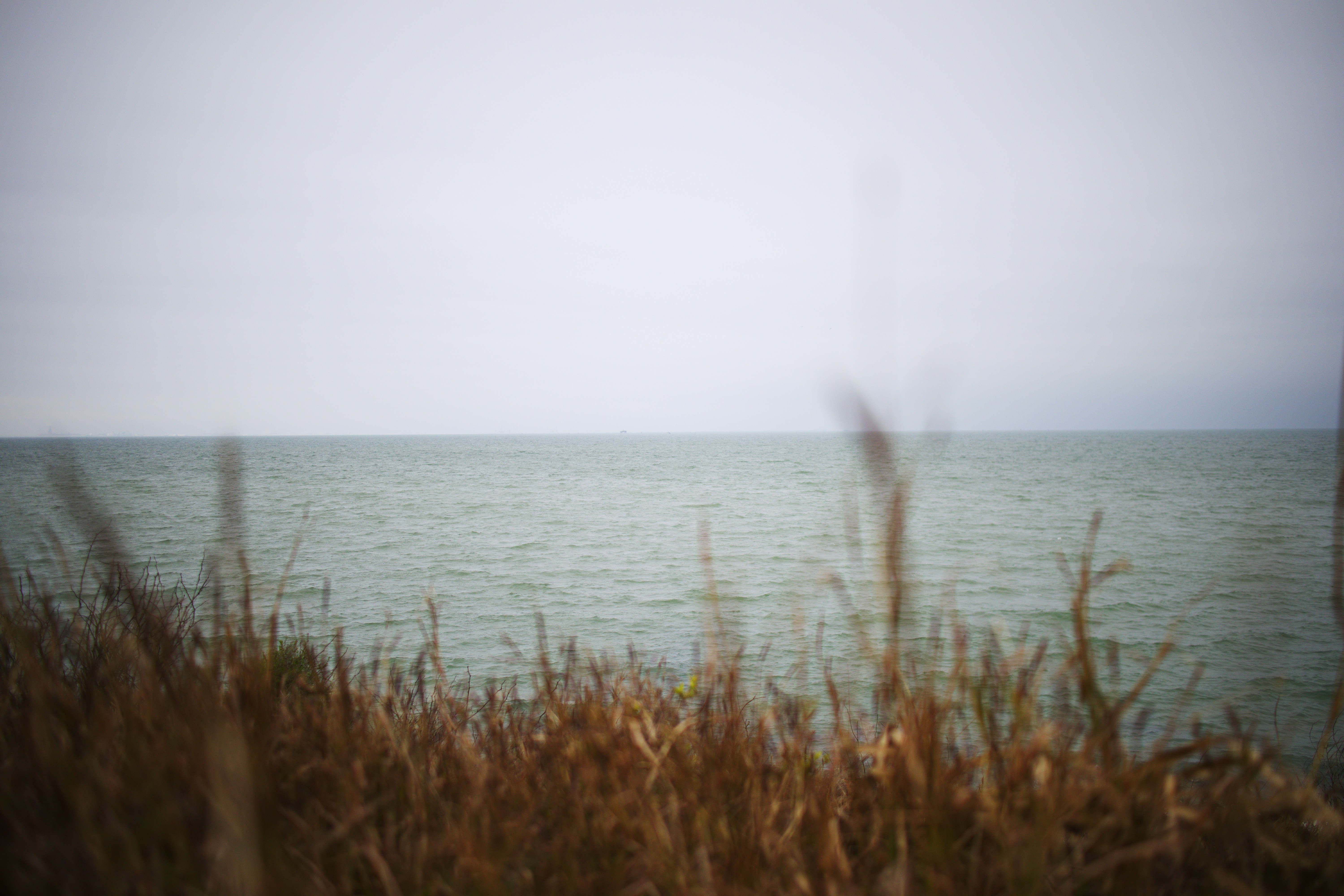 Photo by lucasfaragoza