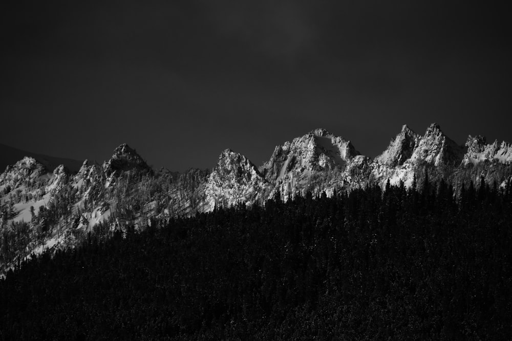 silhouette of trees near mountain