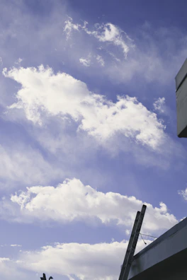 A team member carefully inspecting a residential roof with a silver ladder against a clear sky.