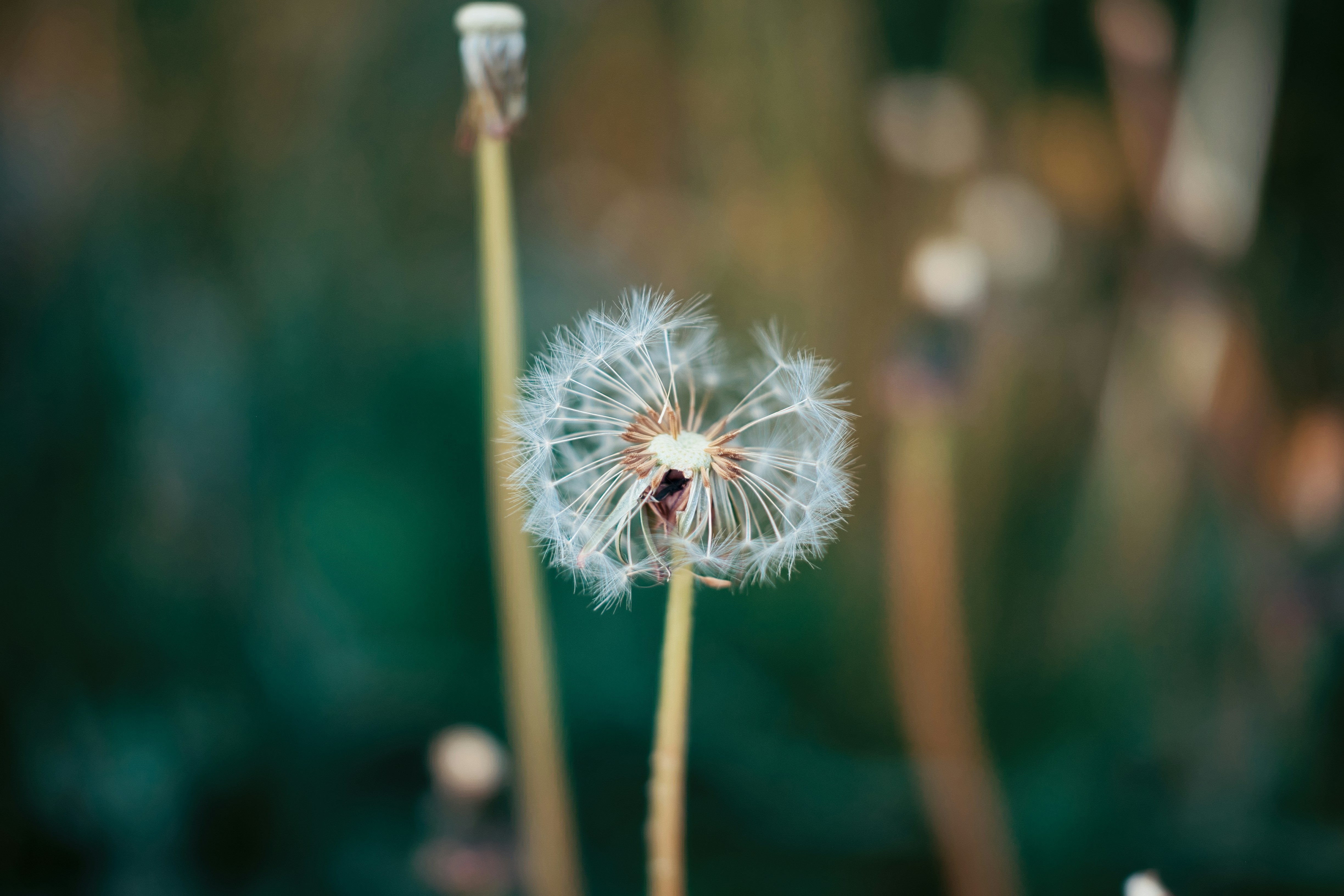 Photo by aperturevintage