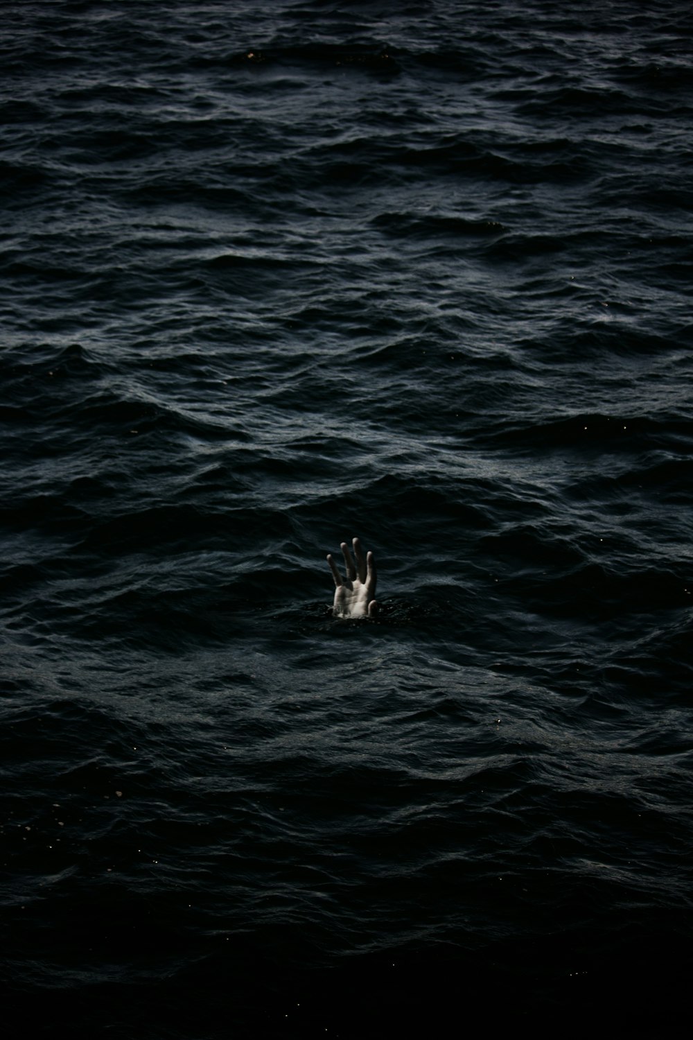 human hand on body of water