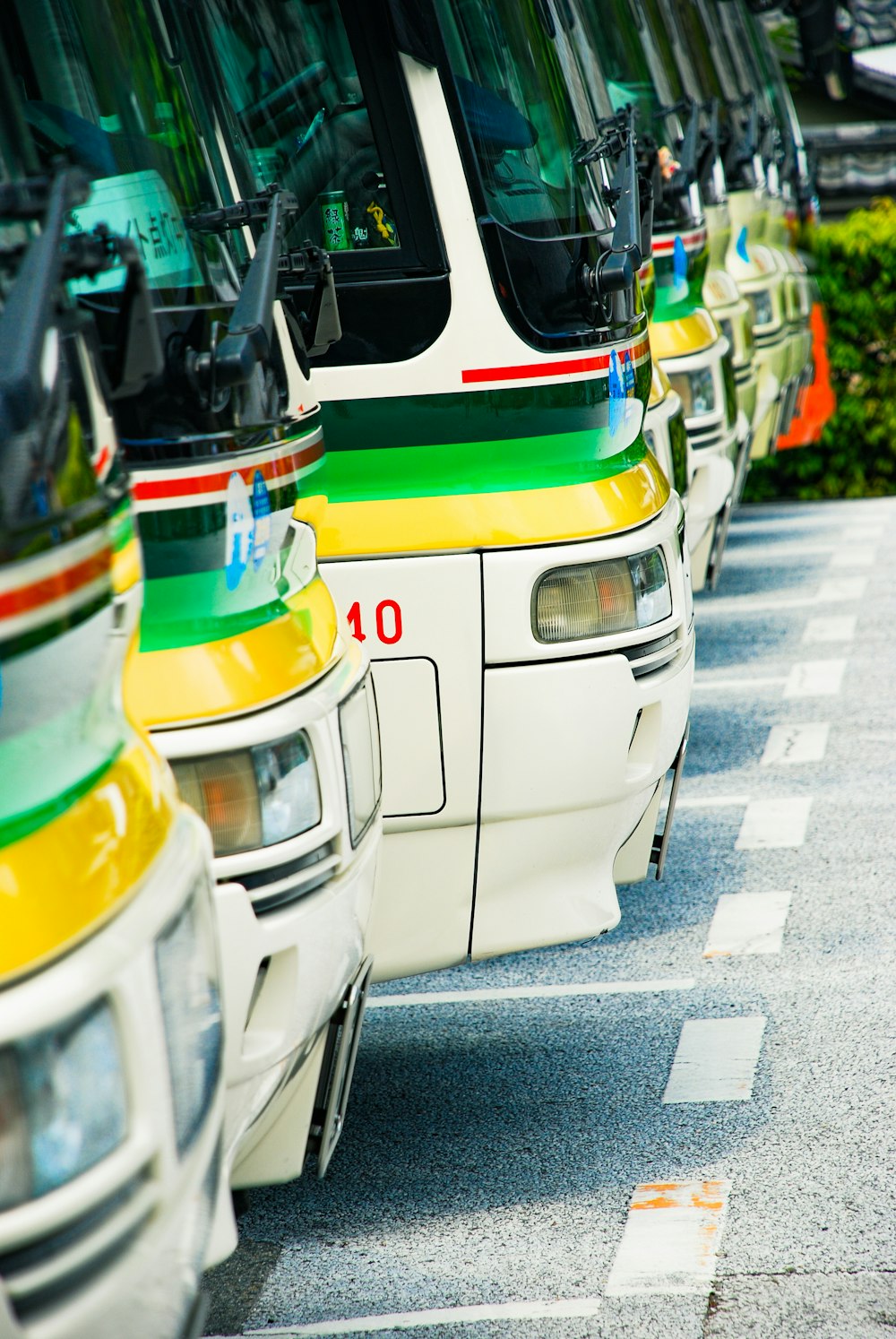 white and green bus lines