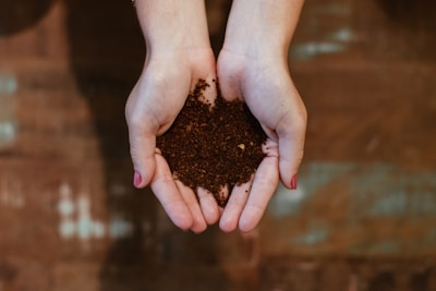 top view of woman's hands with soil