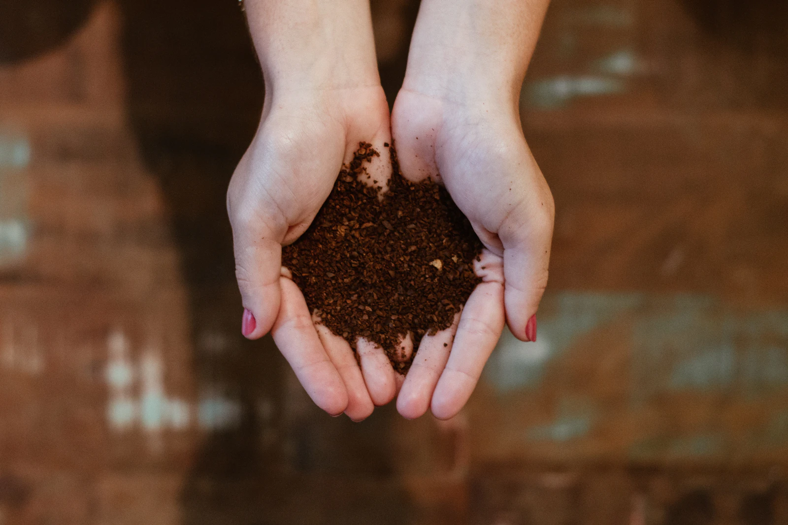 A woman's hands, nails painted, cupping a handful of rich dark compost soil.