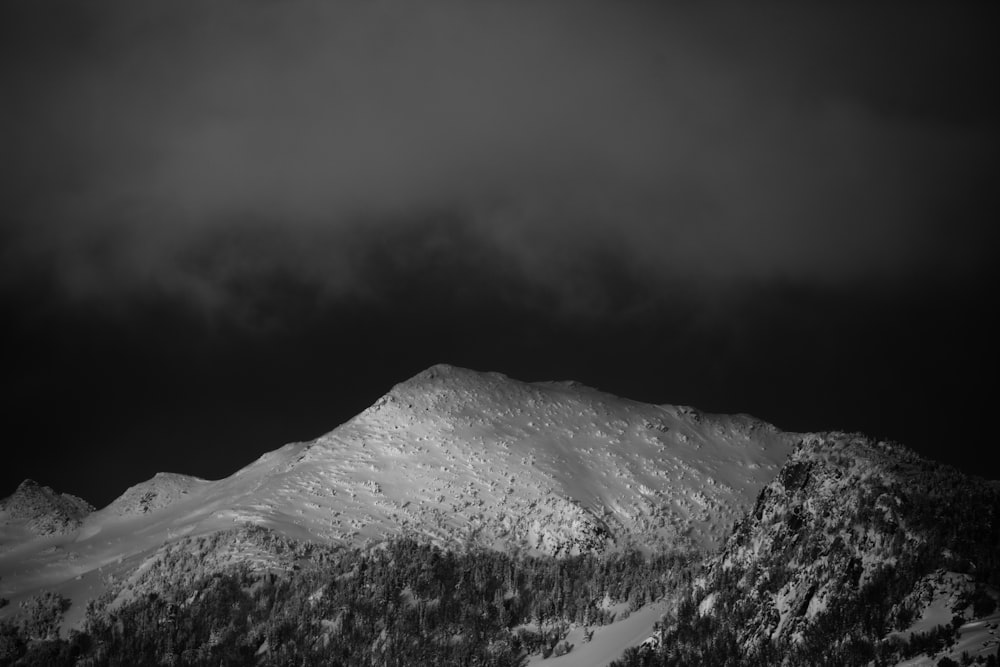 nuages au-dessus de la montagne et des arbres couverts de neige