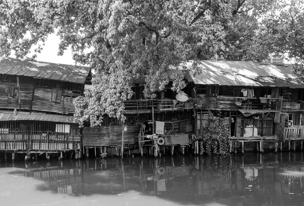grayscale photography of wooden house