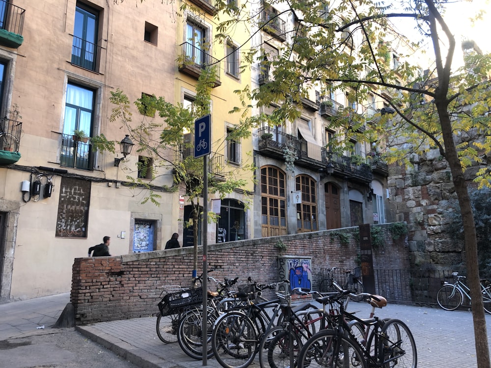 black bicycles parked beside tree