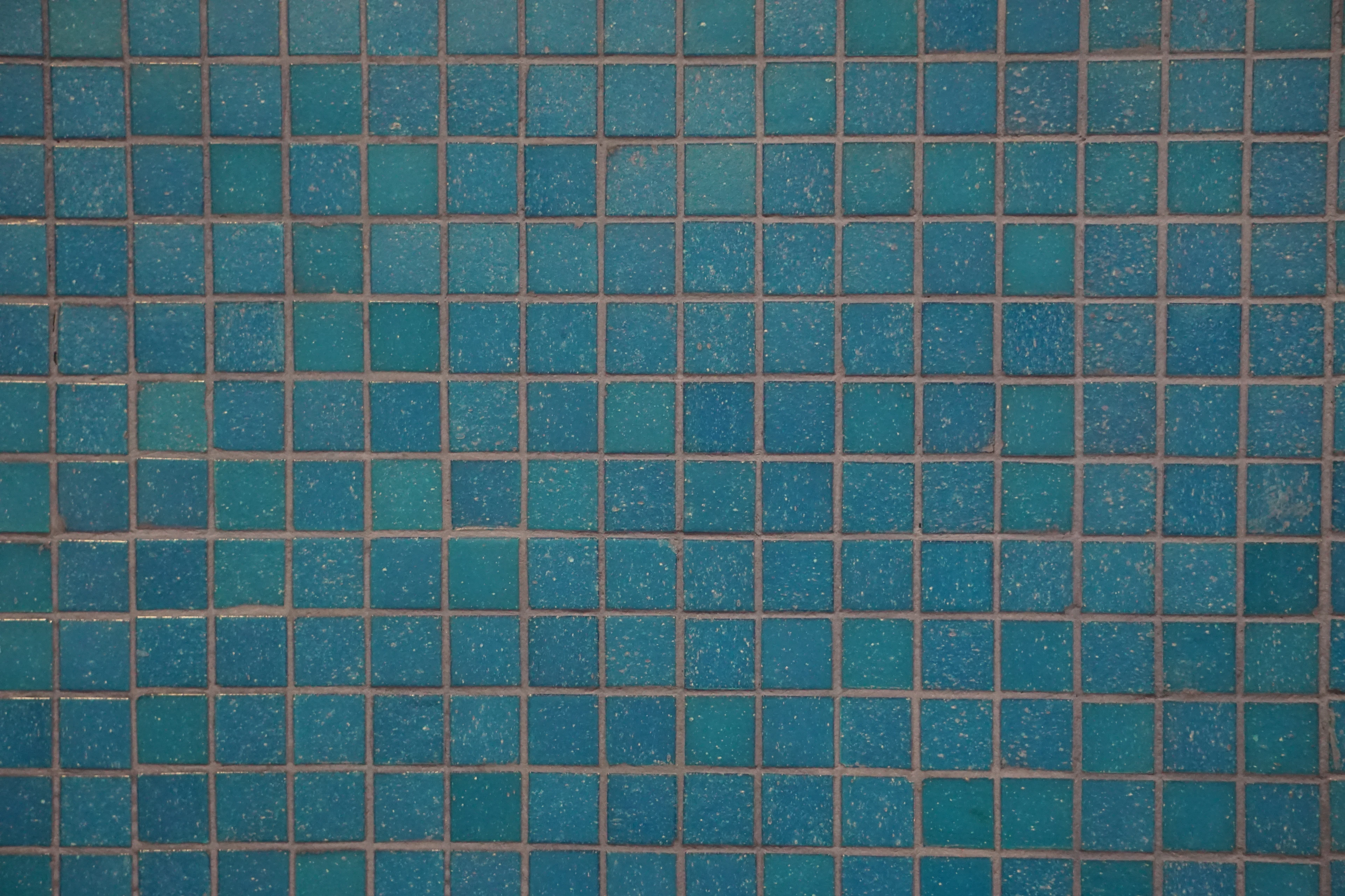 Blue wall tiles with contrasting grout