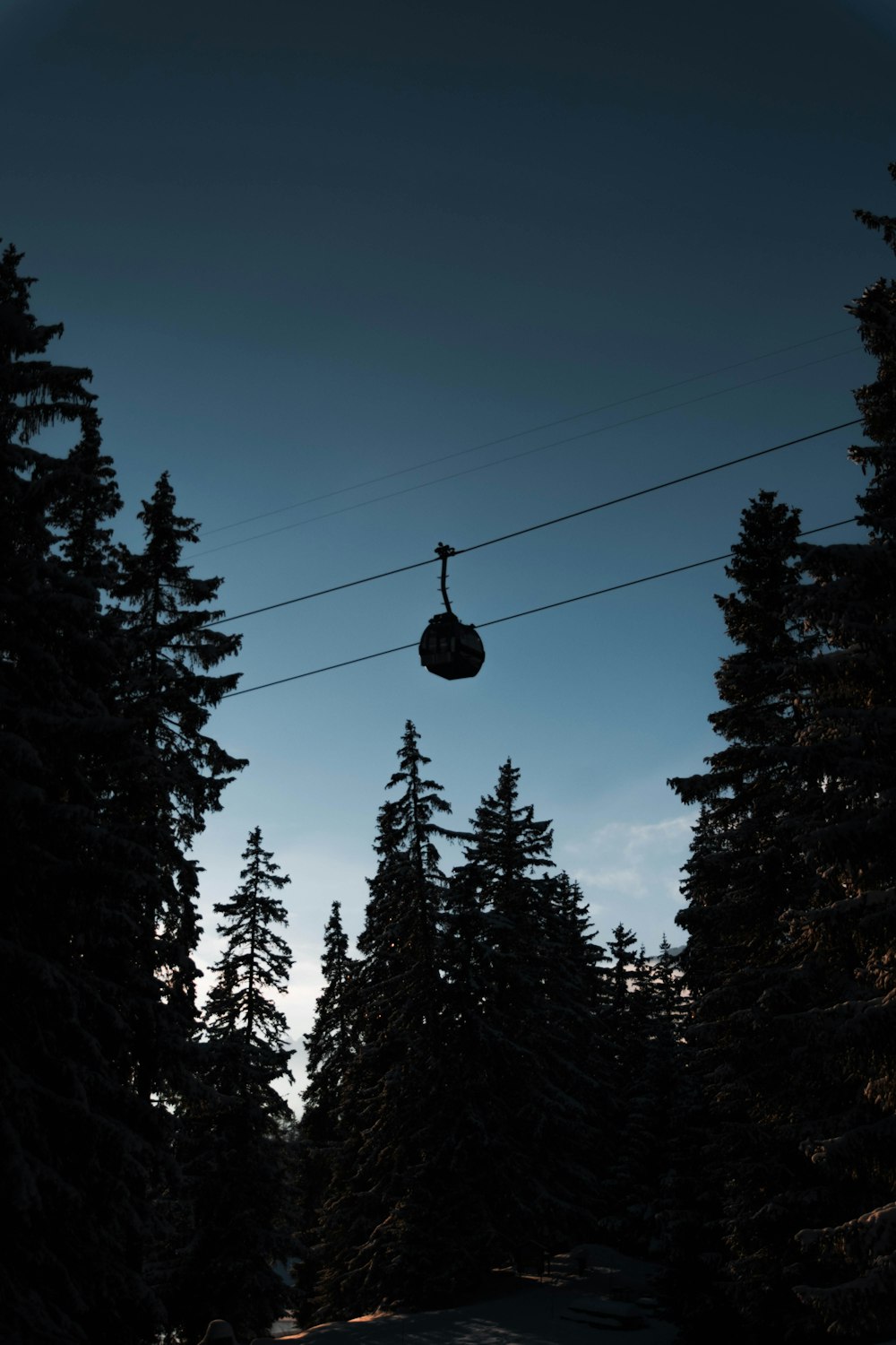 silhouette cable car and trees