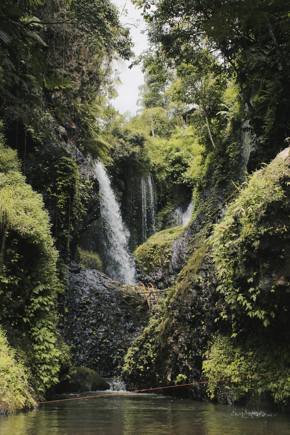 green trees and waterfall during daytime