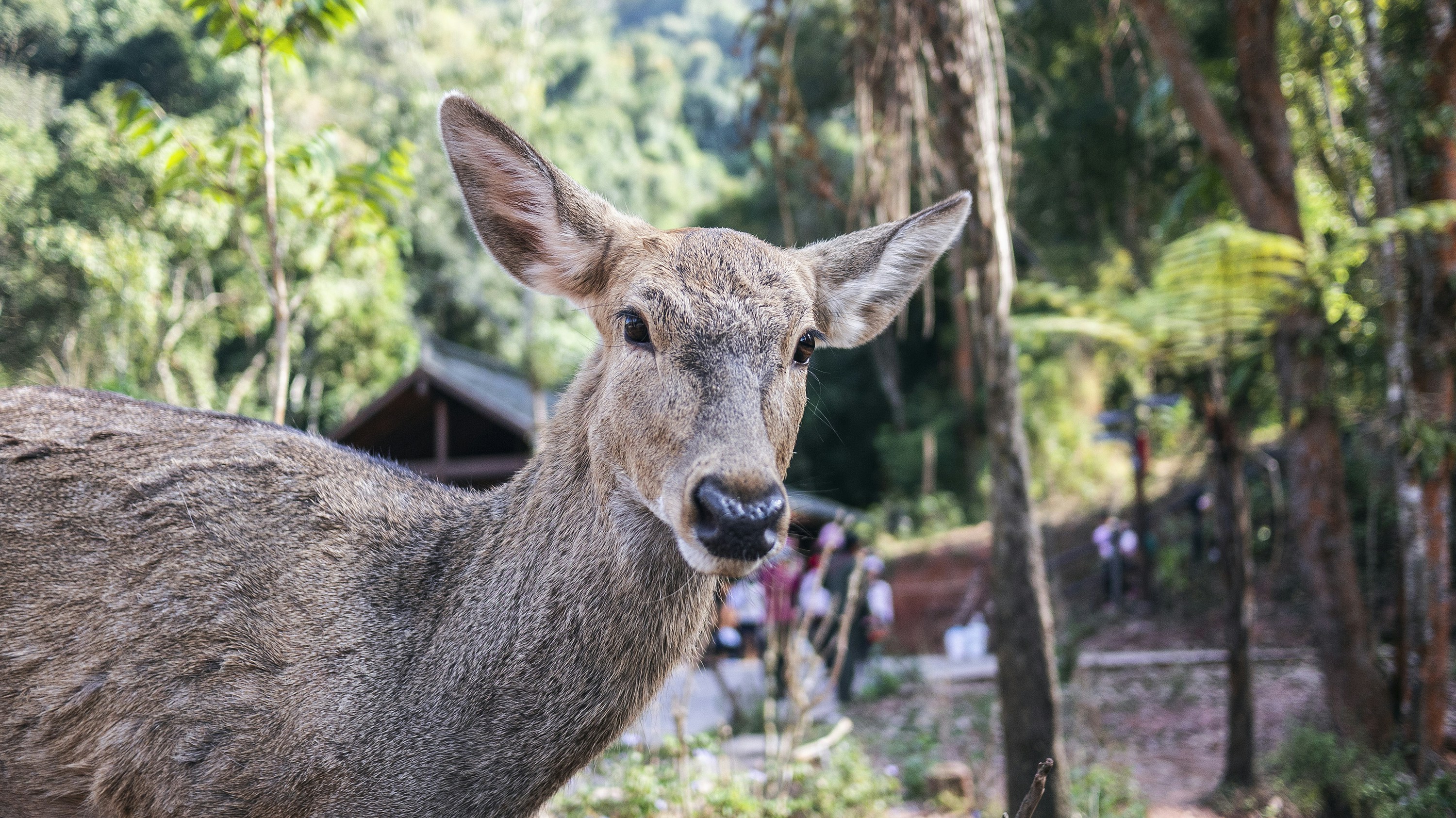 Photo by phienix_han