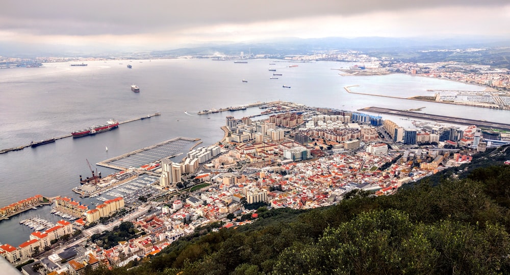 edifícios de concreto marrom e branco durante o dia