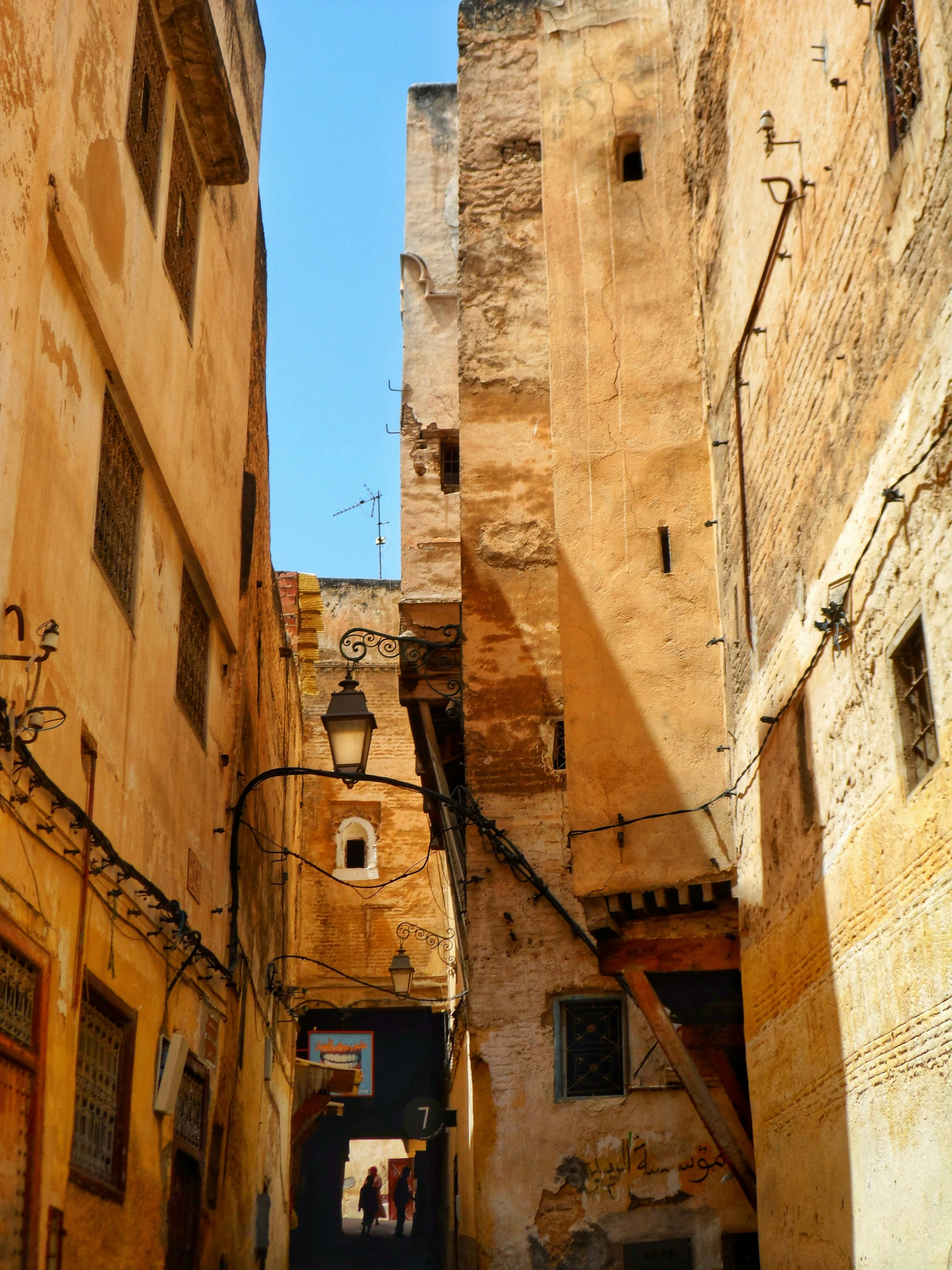 Photo by frejasaurbrey