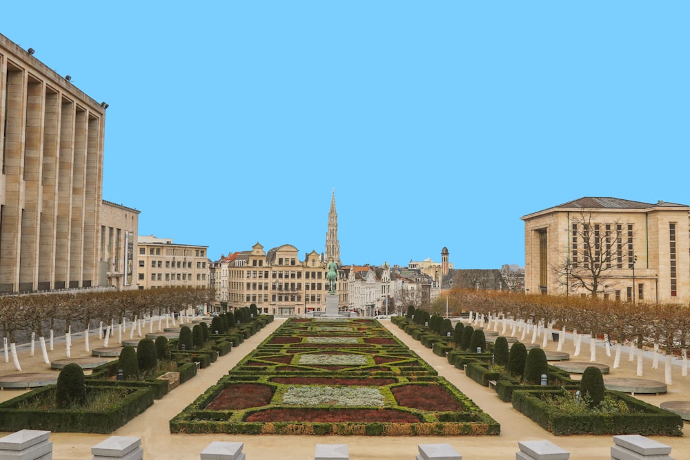 brown concrete buildings and green park during daytime