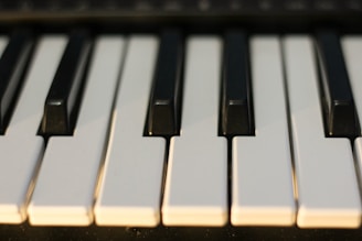 A close-up view of several piano keys, showing a combination of black and white keys in a slightly staggered, diagonal arrangement.