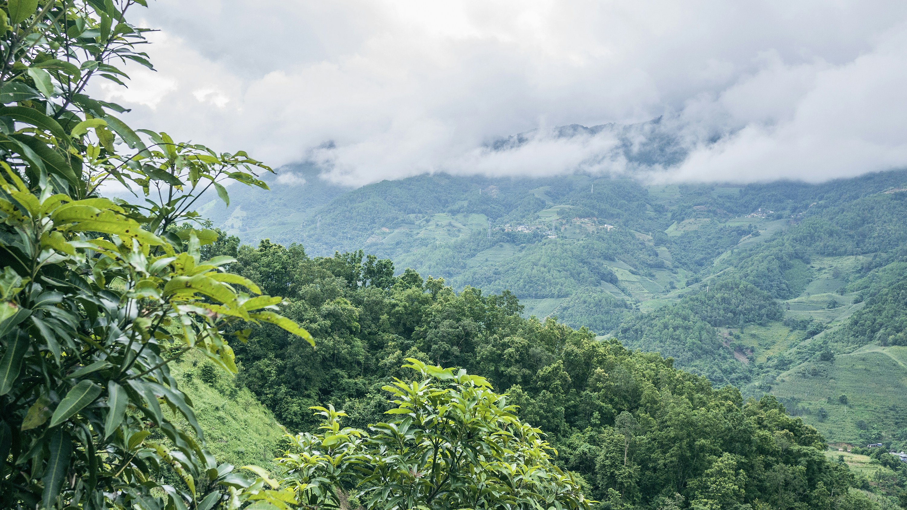 Photo by phienix_han