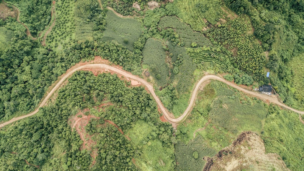 aerial photography of road