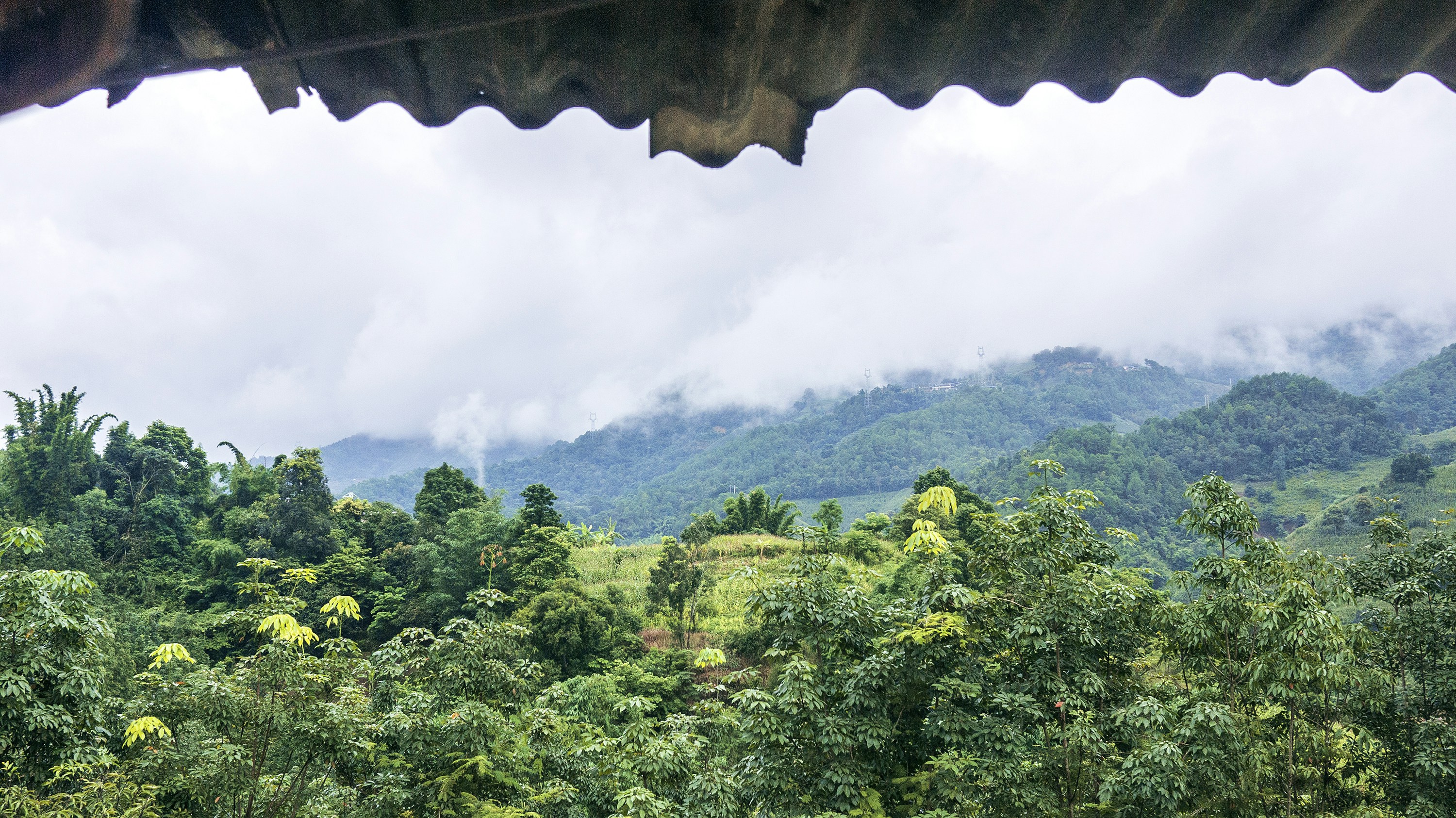 Photo by phienix_han