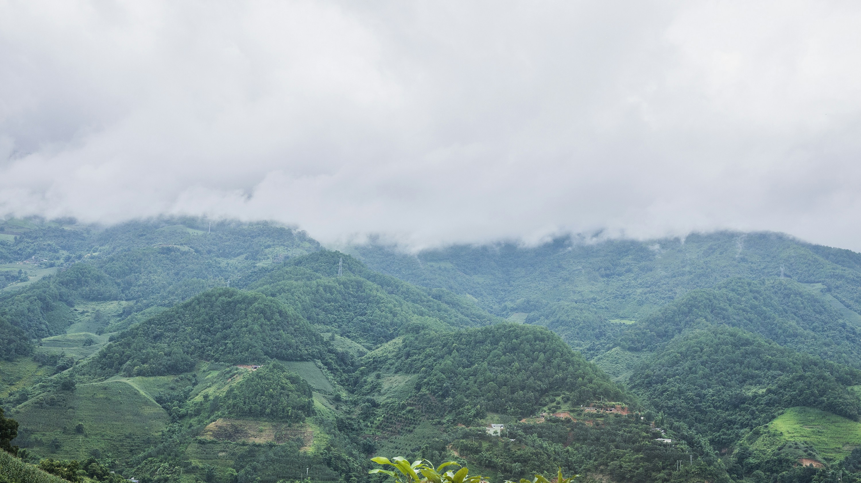 Photo by phienix_han