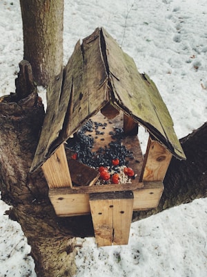 A small, rustic bird feeder made of rough wooden planks is attached to two tree branches in a snowy outdoor setting. The feeder is filled with a variety of seeds, including black sunflower seeds and small red berries.