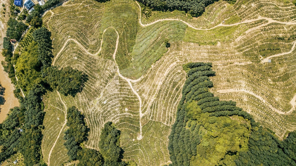 fotografia aérea de campo