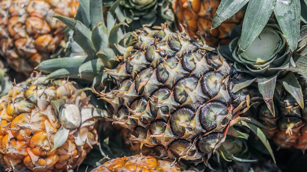 pineapple fruit close-up photography