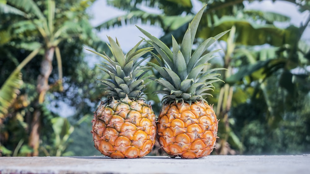 two pineapple fruits on gray surface