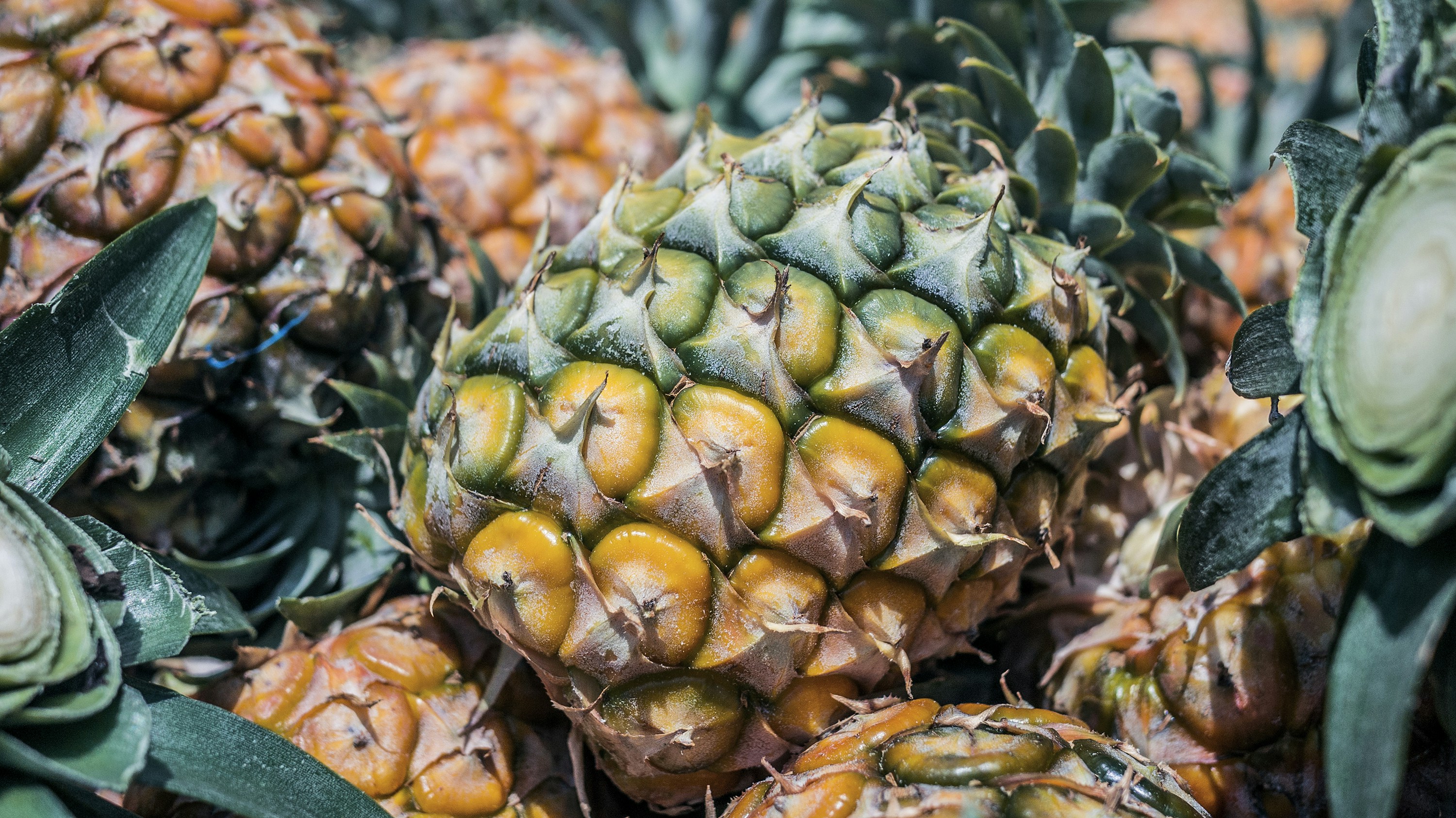 Photo by phienix_han