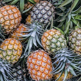 orange and green pineapple fruits