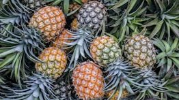 orange and green pineapple fruits