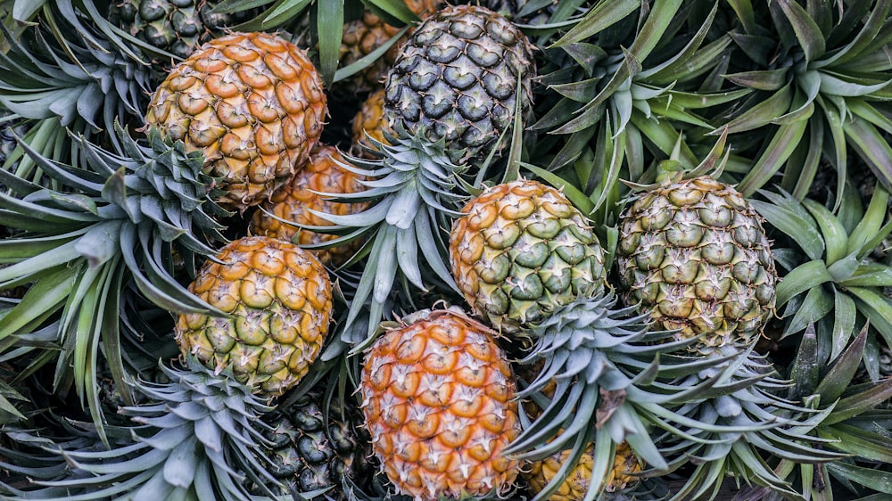 orange and green pineapple fruits