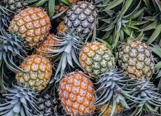 orange and green pineapple fruits