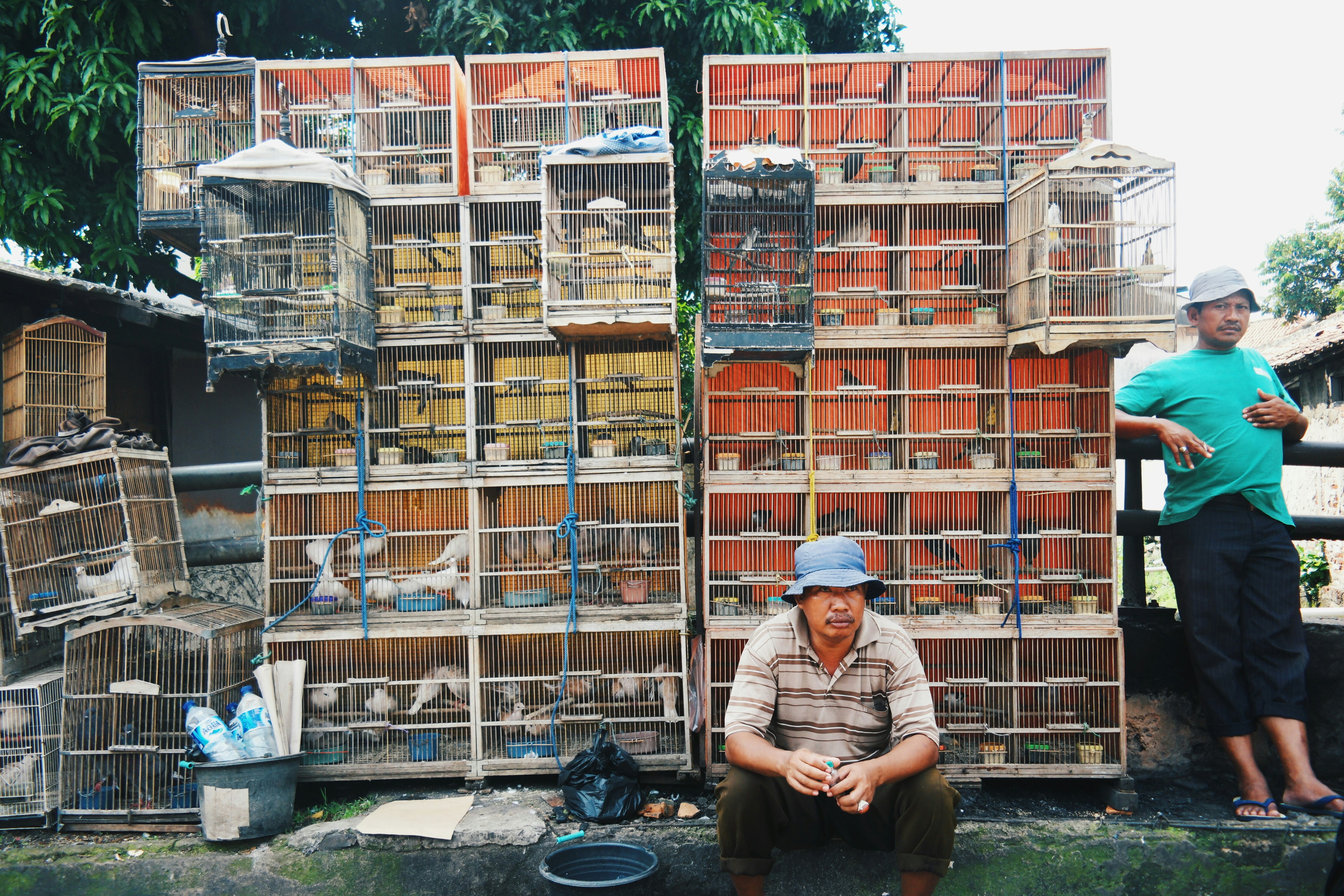 kandang hewan peliharaan dan kandang hewan peliharaan logam