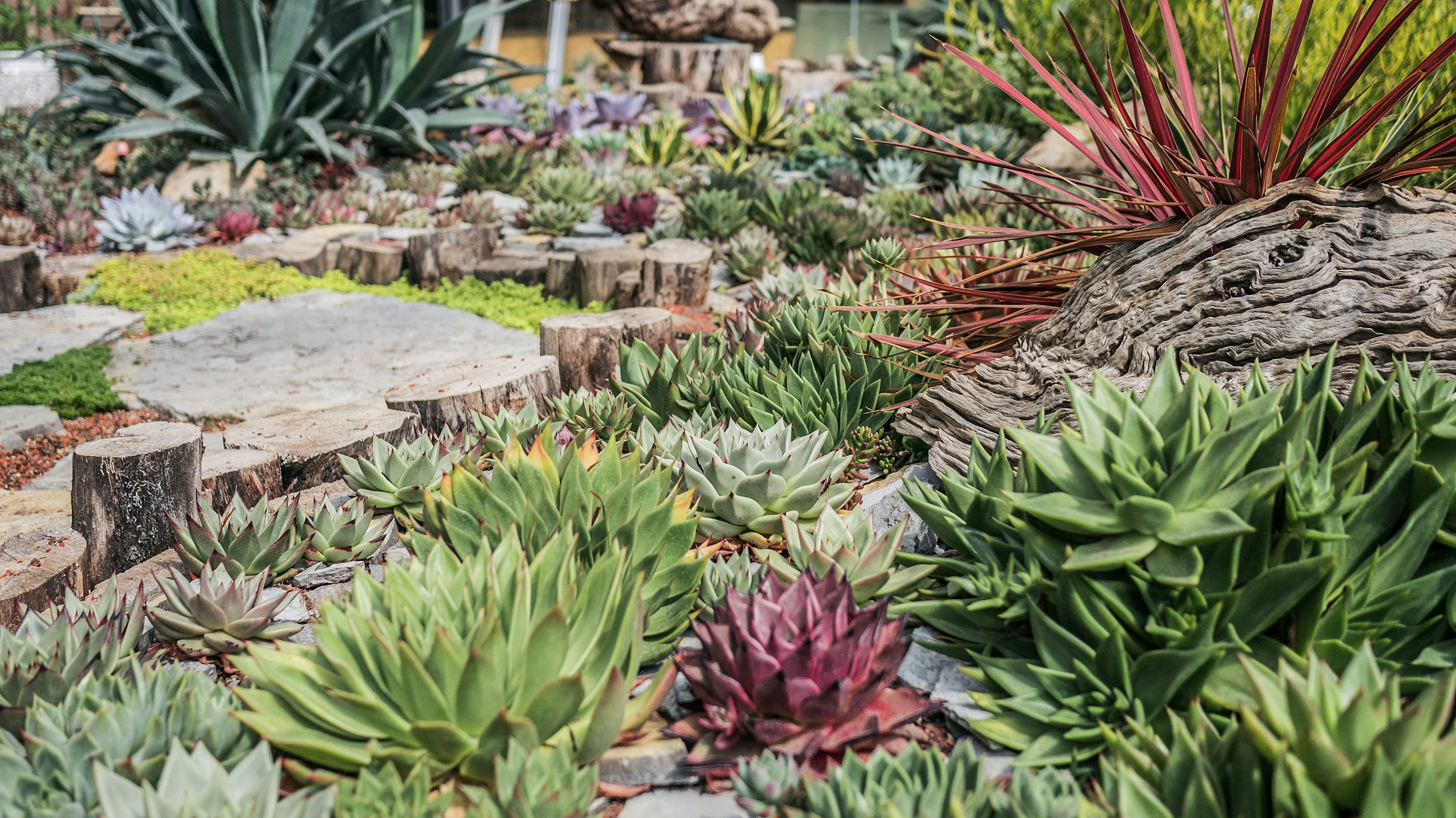 Photo by phienix_han