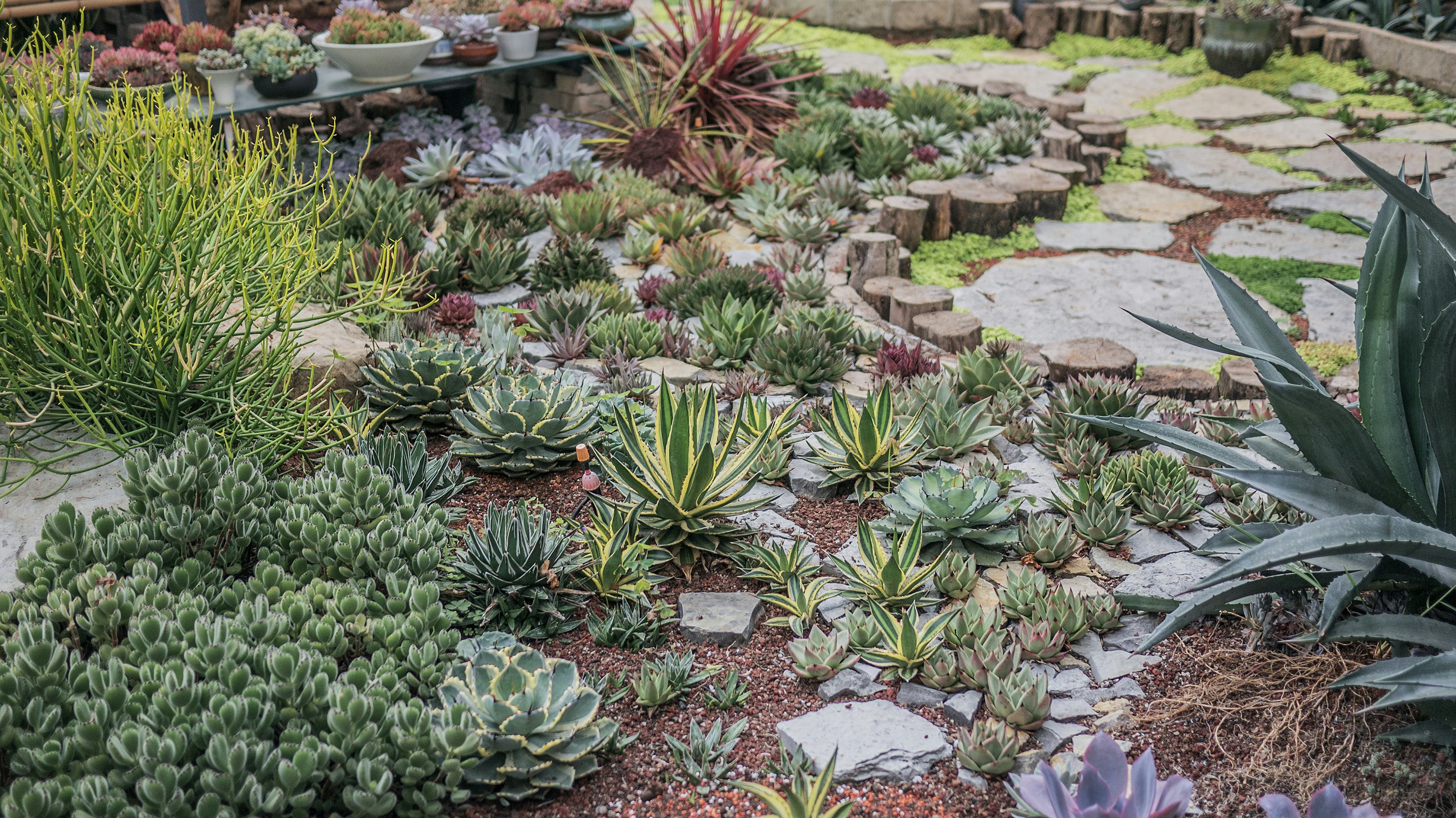 Photo by phienix_han