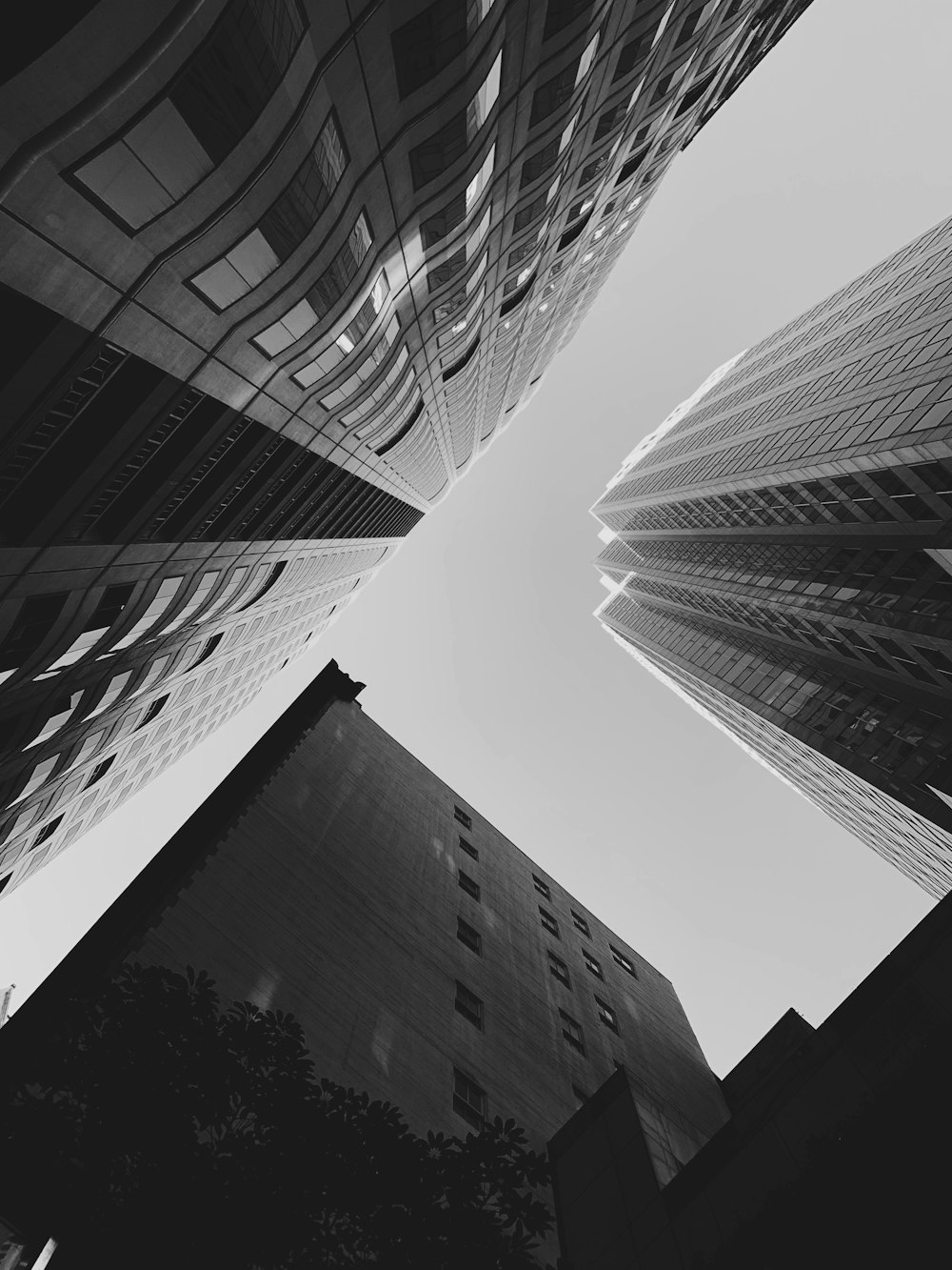 grayscale photography of high rise buildings
