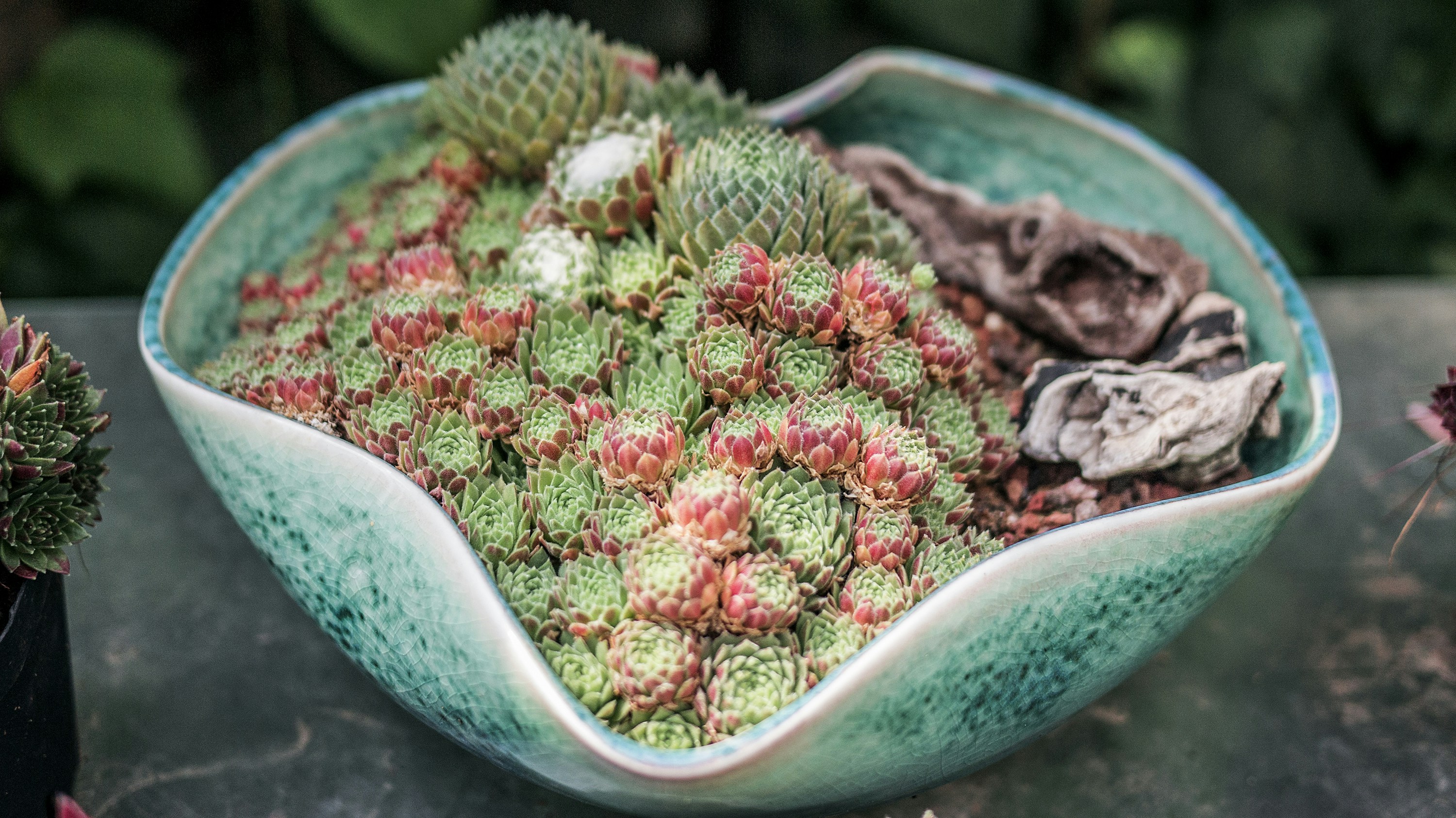 Photo by phienix_han