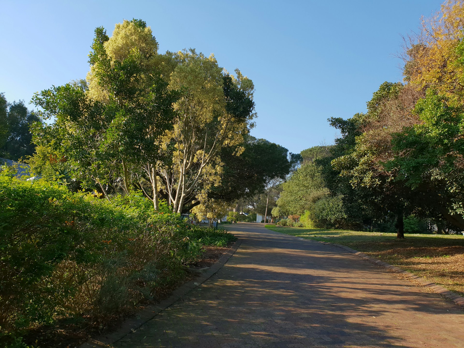 A peaceful outdoor scene featuring a winding path through lush greenery on a bright day.
