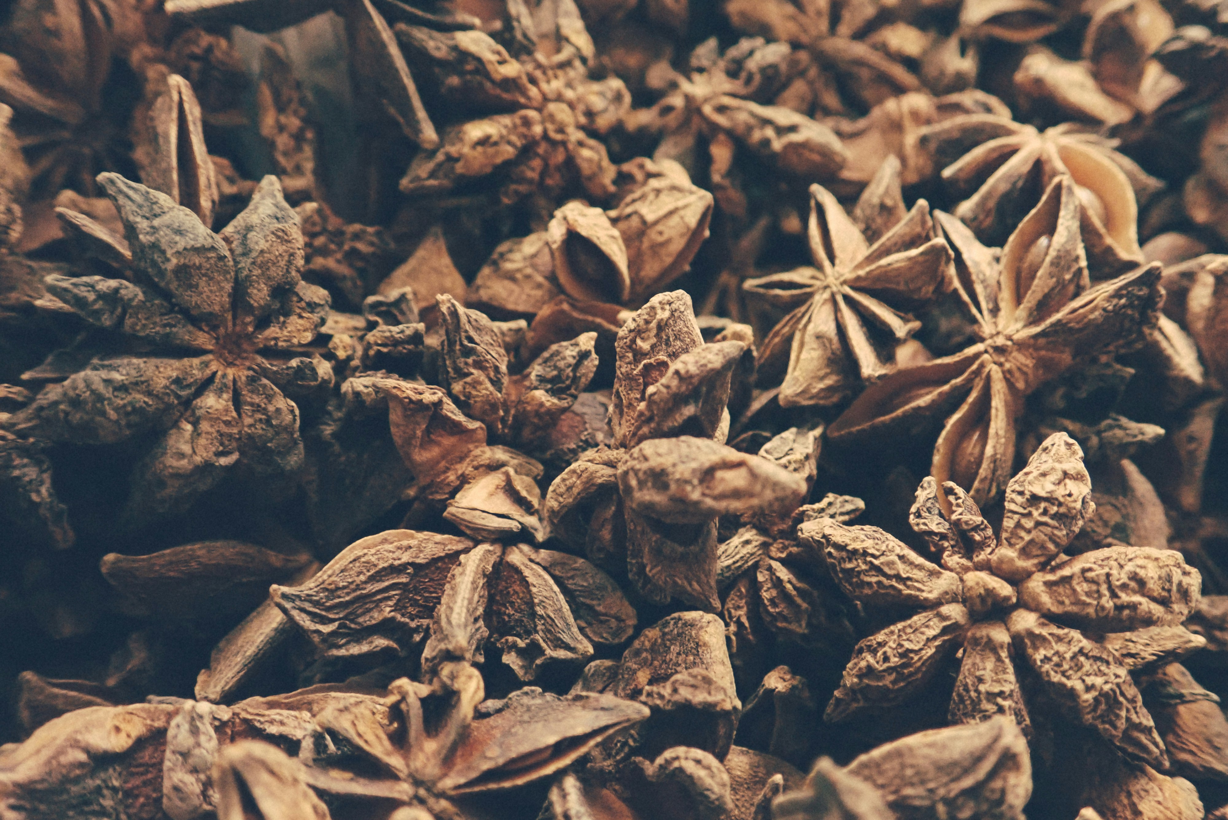 Photo by francesco_ungaro